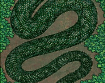 Green Snake Art Print – Reptile Wall Art
