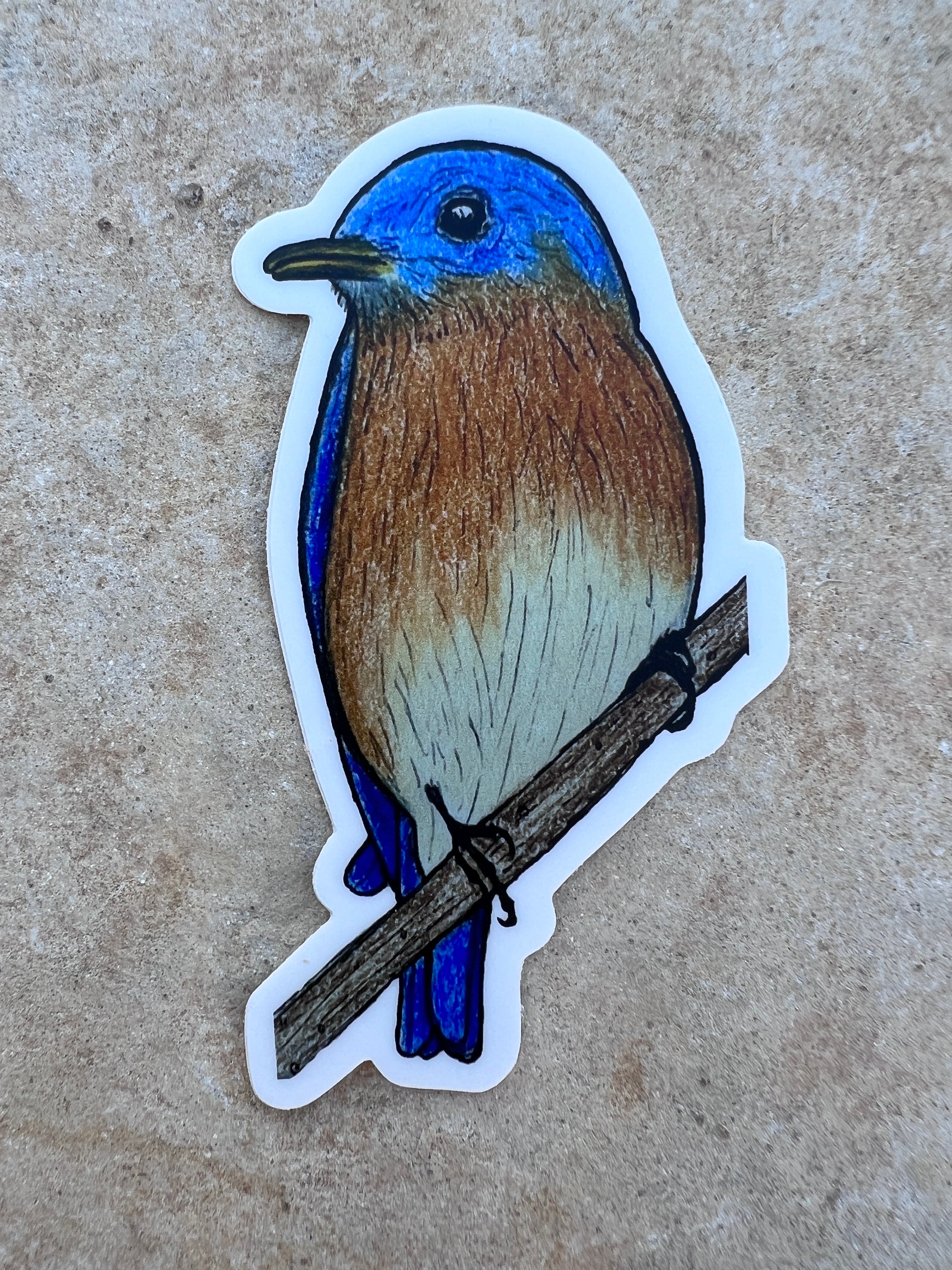 Eastern Bluebird Sticker | Weatherproof Vinyl Decal - Etsy