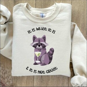 Sudadera de mapache, es lo que es y no es una gran sudadera, sudadera divertida para mujeres, sudadera de salud mental,
