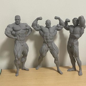 Phil Heath Mr Olympia Figure With Stand 20/34/55cm Height 
