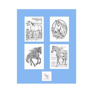 May include: Four black and white horse illustrations on a light blue background. The images depict horses in various poses, including standing in a field, within a floral frame, and in motion. The bottom right corner features the text "LFP Lauren Falls Publishing."