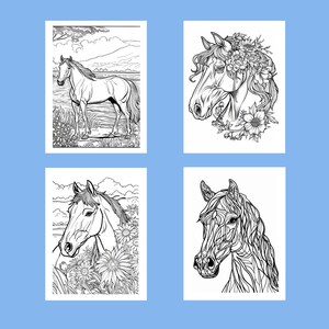 May include: Four black and white horse illustrations on a light blue background. The images include a horse standing in a field, a horse head with a floral crown, a horse head surrounded by flowers, and a detailed horse head.