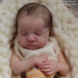 CUSTOM Authentic Reborn Baby Doll Levi Sleeping 17”
