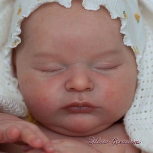 リボーンドール　　Laura リボーンドール Laura Reborn Laura | eBay