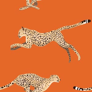 May include: An orange background features a repeating pattern of cheetahs in mid-stride. The cheetahs are tan with black spots and long tails. The tails have a black tip with white stripes. The cheetahs are in a running pose.