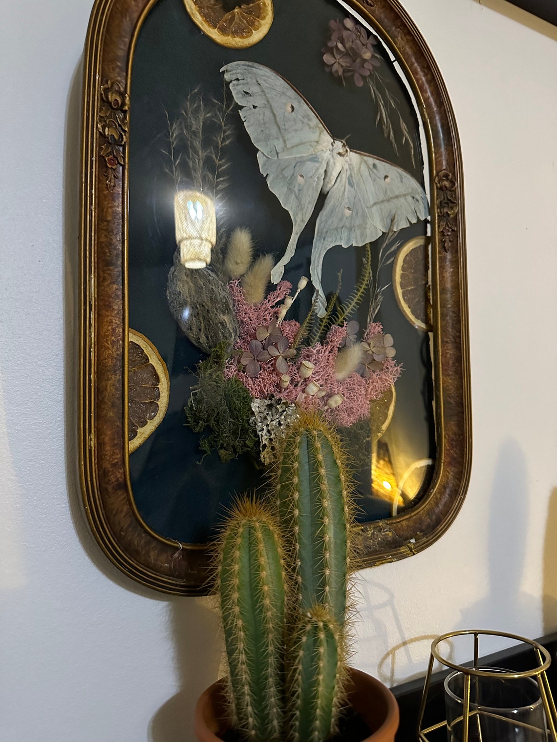Vintage Luna Moth Frame - Etsy