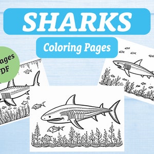 Shark Coloring Pages, Digital Download, Fun for Kids and Adults, 20 Shark Coloring Pages, PDF Format, Sharks, Deep Sea Coloring