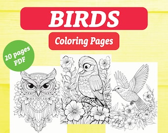 Bird Coloring Sheets, Kids Coloring Sheets, Wildlife Coloring Pages, Bird Coloring Pages, PDF File, Instant Download, Fun Activity, Birds