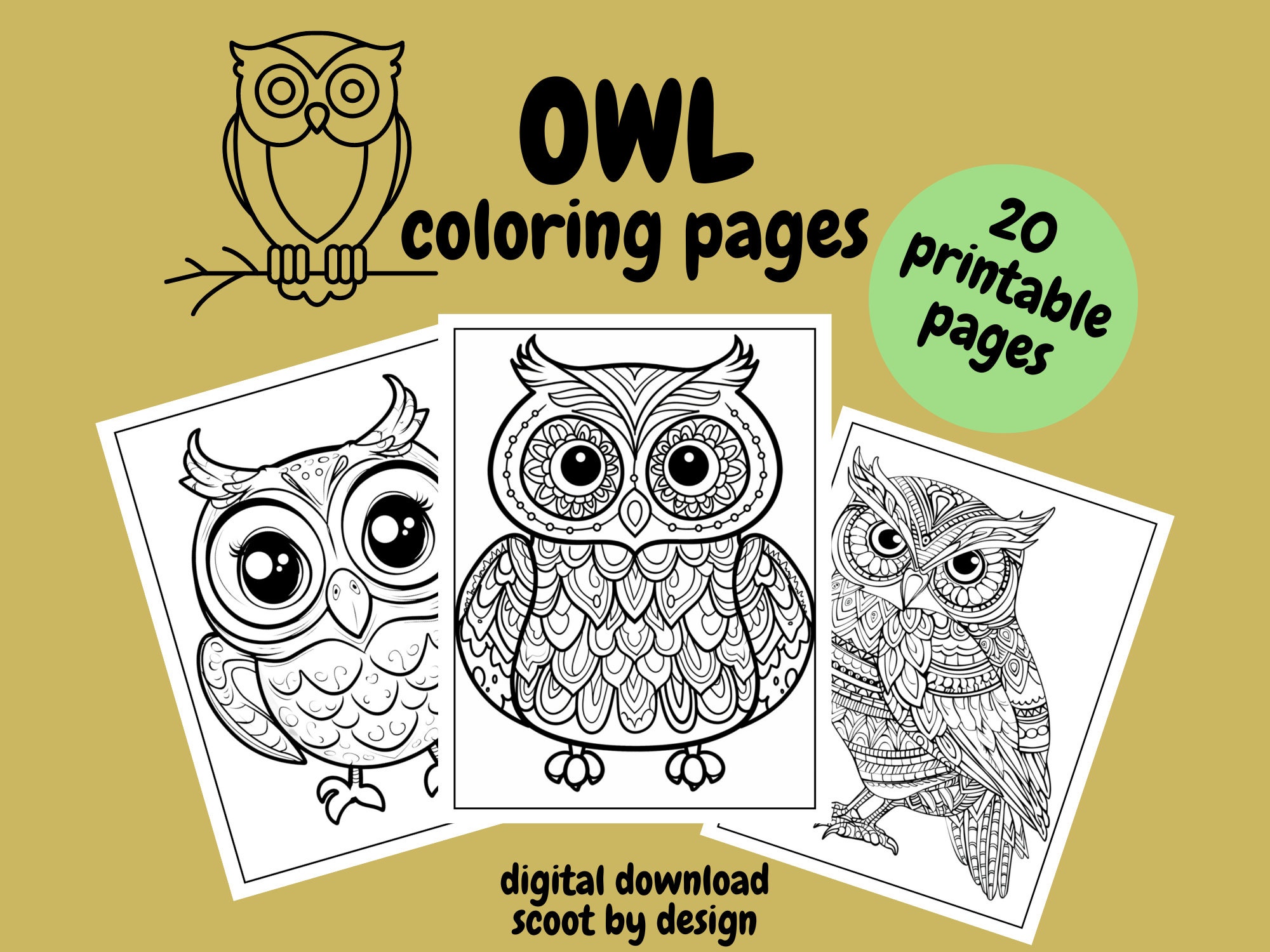 Owls Coloring Pages, What a HOOT Coloring Pages for Kids and Adults, Digital Download, Fun Activity,