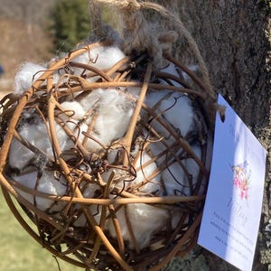Organic Raw COTTON Bird Nesting Ball + Refill – GOTS Certified -USA Grown- All Natural