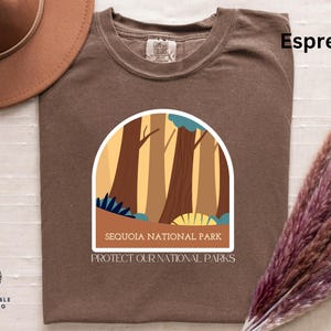 Sequoia National Park Shirt, Vacation Shirt, Protect Our National Parks Shirt, Family Vacation, California Trip Tee, Tree Lover Gift