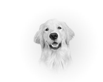 Black and White Pet Heirloom Portrait