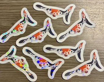 Paddle Fish Sticker | Fish Vinyl Sticker | Water Resistant Sticker | Sticker Book | Journal | Laptop Sticker | Water Bottle Sticker