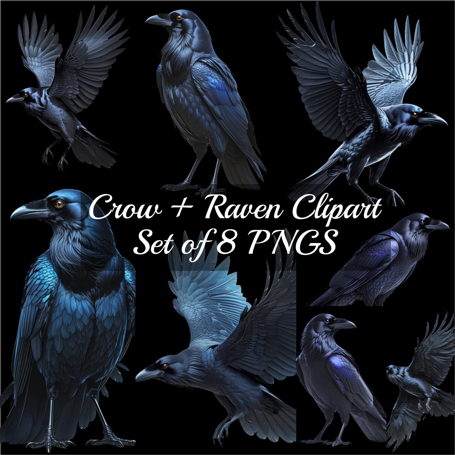 Crow and Raven Clipart Digital Download Set of 8 PNGS