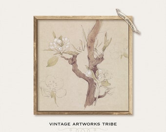 Vintage Watercolor Painting Pear Tree Blossoms Twig Study Sketch • Remastered Printable Wall Art Spring Season Decor • DIGITAL DOWNLOAD F140