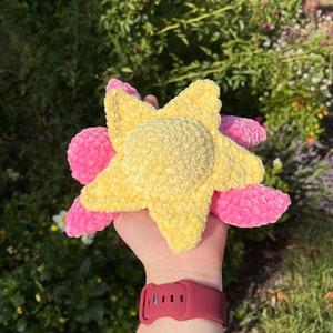 Crochet Star Turtle Pattern - Turtle Stuffed Animal Amigurumi PDF Download Cute Beginner Friendly