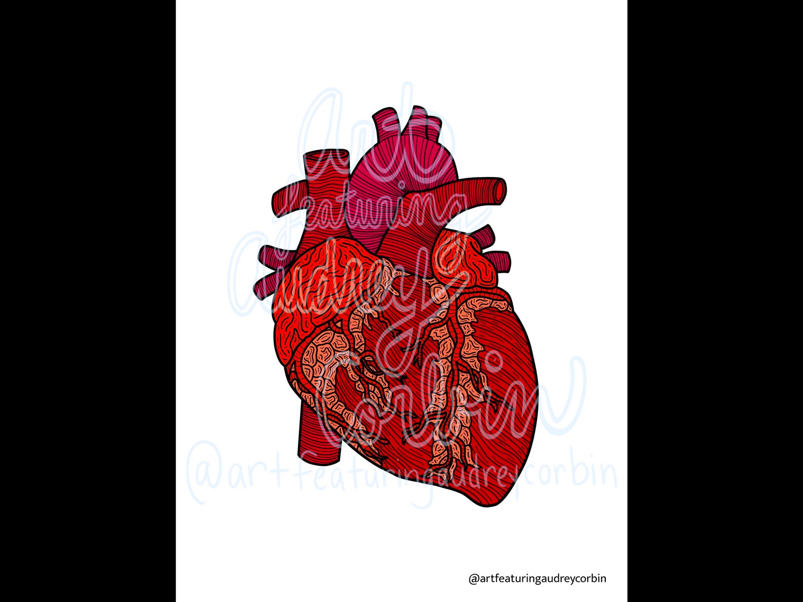 Realistic Heart Anatomy Coloring Page for Kids and Adults Instant Download Coloring Page Digital ...