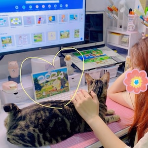 May include: A tabby cat laying on a pink desk mat with a person's hand petting it. A 2024 calendar is on the desk behind the cat.