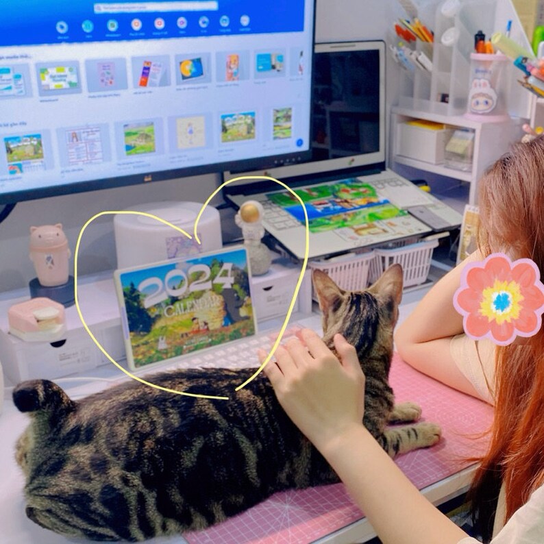 May include: A tabby cat laying on a pink desk mat with a person's hand petting it. A 2024 calendar is on the desk behind the cat.