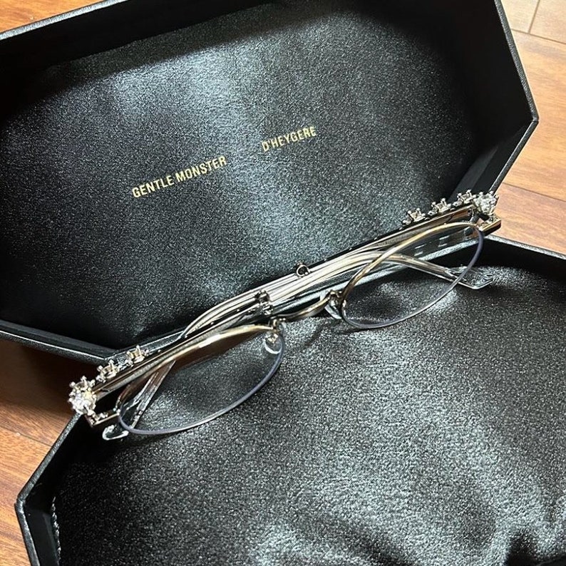 Gentle Monster Glasses D'heygere PIERCED 02 Silver Glasses Rare Limited