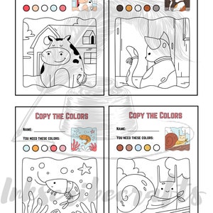 Copy the Colors Printable: 27 Kids Coloring Pages (Digital Download)