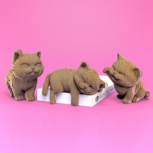 May include: Three cat figurines constructed from layered brown corrugated cardboard. One cat stands on the left, one lies across a white book titled Sapiens in the centre, and one sits on the right with a raised paw. All have closed eyes.