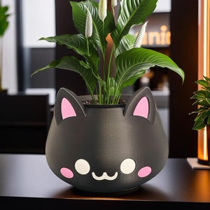 May include: A black cat-shaped planter with pink ears and white eyes. A peace lily plant with white flowers is growing in the planter.