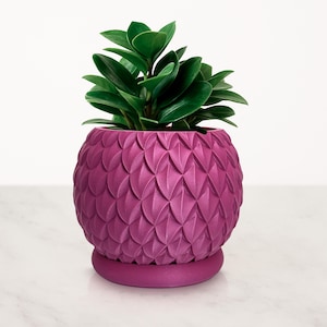 Puede incluir: Una maceta magenta con un patrón texturizado en forma de escamas. Contiene una exuberante planta verde con hojas brillantes. La maceta se asienta sobre un platillo a juego, creando una exhibición decorativa para plantas de interior. El diámetro de la maceta es de unos 15 cm.