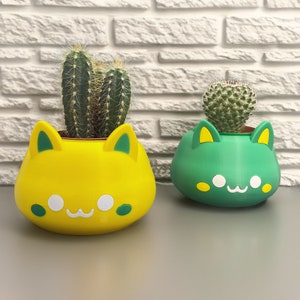 Plant Pots - Set of 2 planter for flowers and succulents