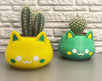 Plant Pots - Set of 2 planter for flowers and succulents