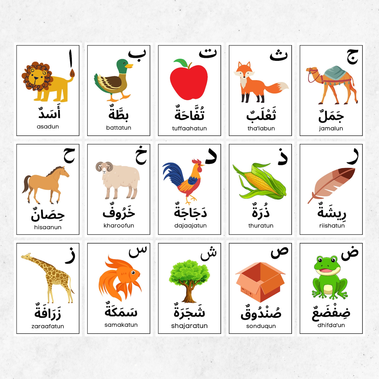 Arabic Alphabets Flash Cards, Arabic Learning First Words Cards, Education Muslim Children