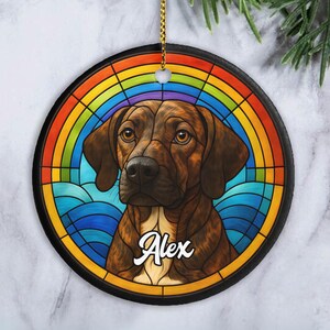 May include: A round ceramic ornament featuring a brown dog portrait centered against a colorful stained glass background with a rainbow arch and blue waves. The name Alex is written in white script across the dog's chest, and a gold cord is attached.