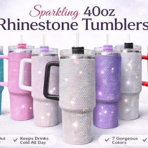 12 oz disposable plastic cups publix 12oz Clear Plastic Cups for Cold Drinks no lids, PET BPA Free