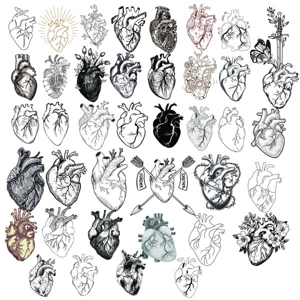 Anatomical Heart, Medical Svg, Flower Heart Svg, Wildflower Svg, Human Heart Svg, Anatomy Svg, Heart Clipart, Human Organs Svg, Printing