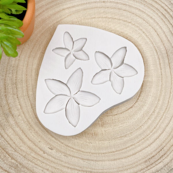 Frangipani Flower Silicone Mold Silikonform zum Dekorieren von Torten, for Cake Decorating and Crafting, Silikonform Blume