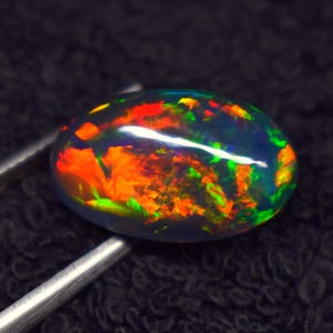 May include: Oval-shaped black opal gemstone with vibrant internal fire. The opal displays a spectrum of colors including red, orange, green, and blue. Held by silver tweezers against a dark background.