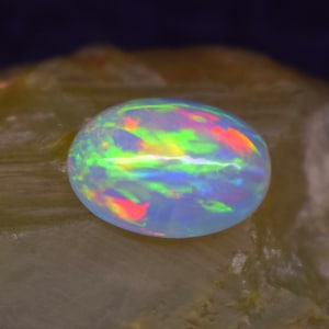 May include: An oval-shaped opal gemstone featuring a translucent white base with vibrant flashes of neon green, bright orange, and electric blue play-of-color. The polished stone displays a smooth, rounded surface with intense internal light reflections.