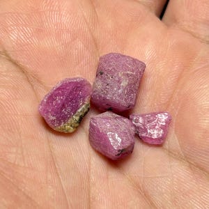 Może przedstawiać: Cztery surowe, różowe kamienie szlachetne rubinu. Kamienie szlachetne różnią się rozmiarem i kształtem, mają głęboki różowy kolor, a niektóre mają lekko szorstką, teksturowaną powierzchnię. Kamienie są trzymane w dłoni.
