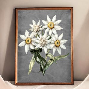 Edelweiss flower printable art, Vintage floral wall decor