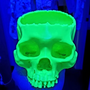 Skull | Candy Bowl | Planter | Halloween | 3D Printed