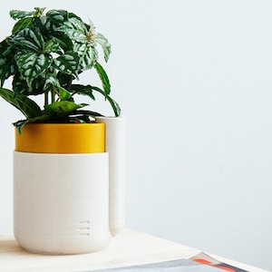 Puede incluir: Una maceta de auto-riego blanca y amarilla con una planta verde en su interior. La maceta tiene un depósito de agua integrado y un sistema de drenaje.