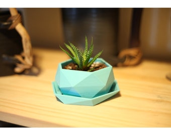 May include: A light blue geometric planter with a succulent plant inside. The planter has a matching saucer.