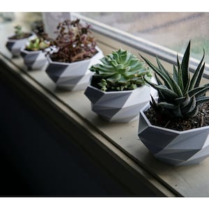 以下が含まれることがあります： 異なる多肉植物と植物が入った、幾何学的な白いプランターが5つ。プランターは質感のある素材でできており、幾何学的なデザインです。