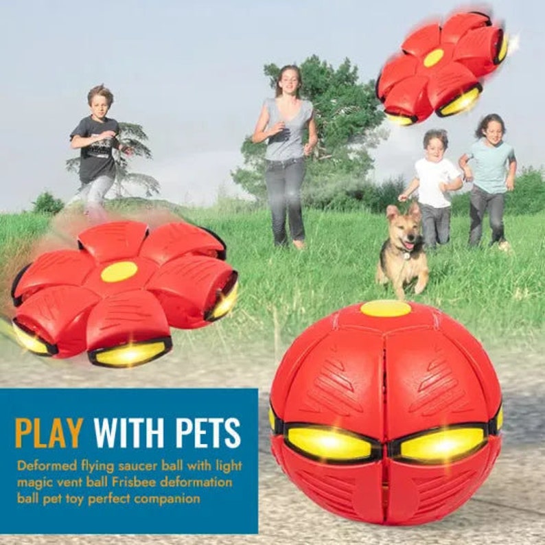 Pet Flying Saucer Ball image 3