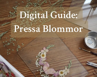 Pressa Blommor, desde presionar hasta inramning, guía digital