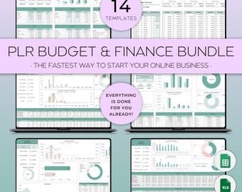 PLR Etsy Shop Sale, DFY Digital Finance, PLR Budgeting Spreadsheet, Small Business, Whole Shop, Personal Finance, Product Business Financial