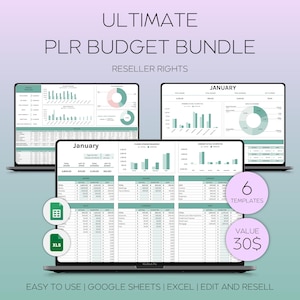 PLR digitale financiële producten voor Google Spreadsheets, maandbudget, planner voor kleine bedrijven, PLR financiële commerciële planner, masterresell