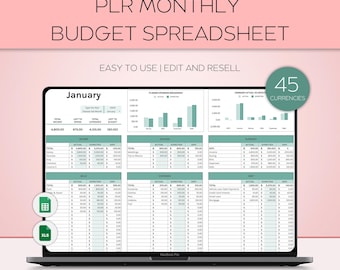 PLR Digital Products, Budgeting for Beginners PLR, Monthly Budget Spreadsheet, Google Sheets Budget, Personal Finances, Income and Expenses