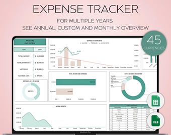PLR Månatlig Utgiftsspårare Google Sheets, Inkomst- och Utgiftsspårare, Balansräkning, Företagsbudgetplanerare, Utgiftsplanerare Excel