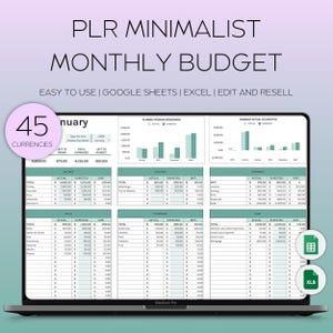 PLR Monthly Budget Spreadsheet, PLR Budget Planner Templates, Resell Excel Expense Tracker, Google Sheet Budget, Bill Tracker Excel, MRR